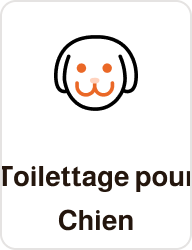 Toilettage pour Chien